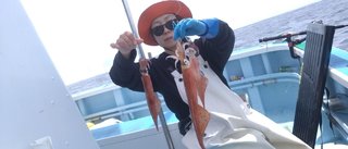 ヤリイカ