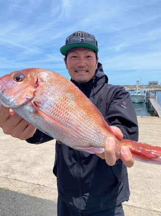 マダイ