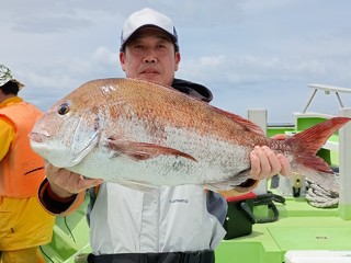 マダイ