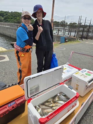 アジ