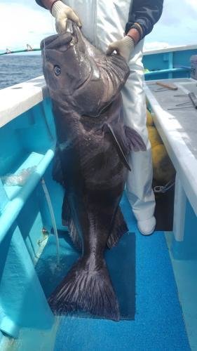 アブラボウズ