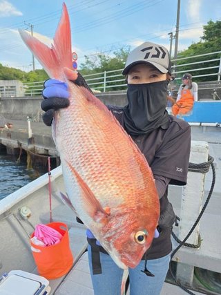 マダイ