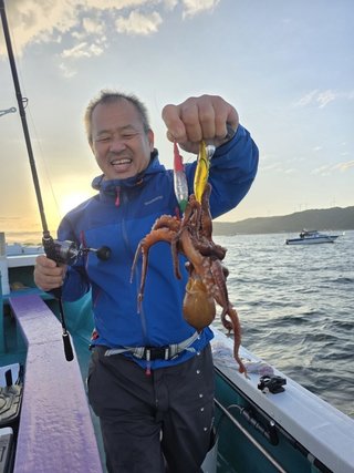 タコ