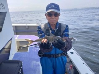 アジ