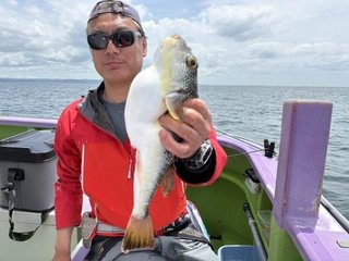 ショウサイフグ