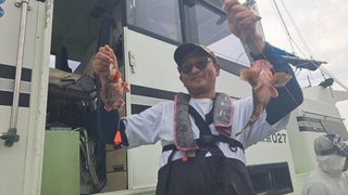 カサゴ