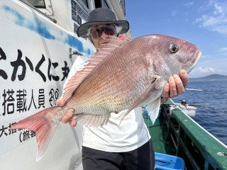 マダイ