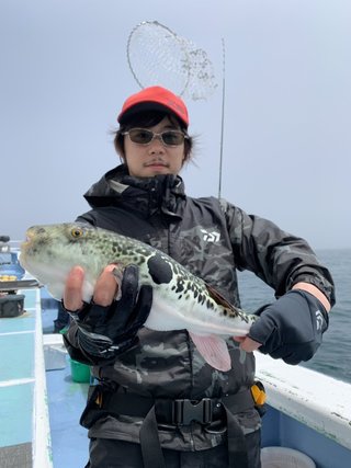 ショウサイフグ
