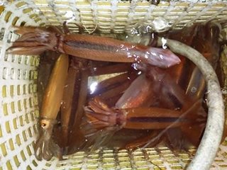 マイカ