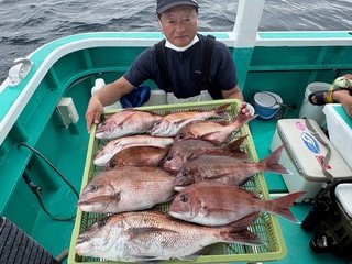 マダイ