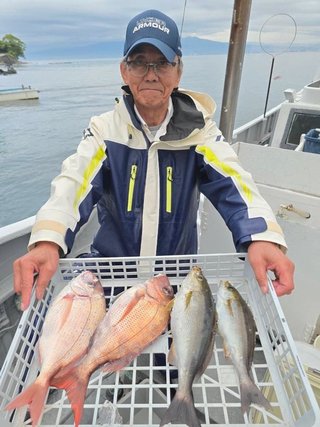 マダイ