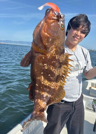 アコウ