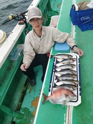 マダイ