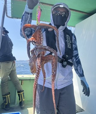 タコ
