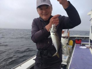 アジ