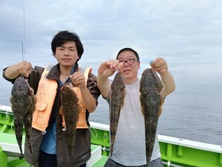 マゴチ
