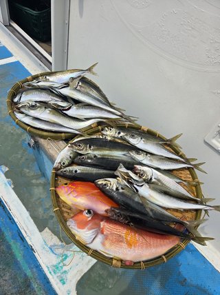 アジ