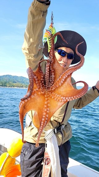 タコ
