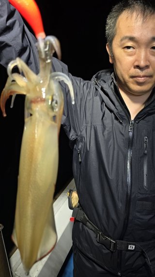 シロイカ