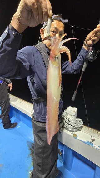 シロイカ