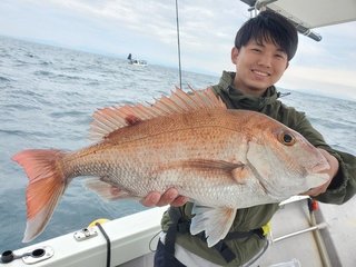 マダイ