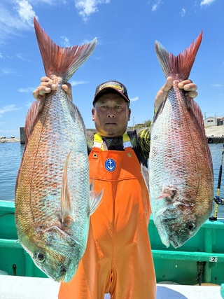 マダイ