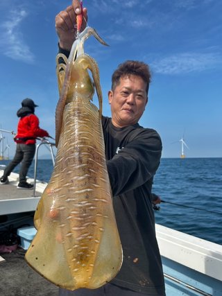 アオリイカ