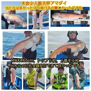 シロアマダイ