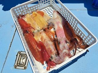 マルイカ