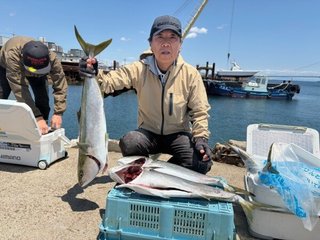 ブリ