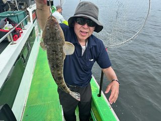 マゴチ