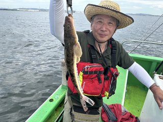 マゴチ