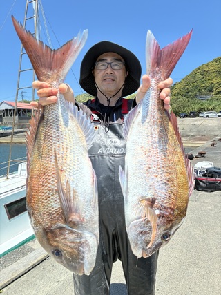 マダイ
