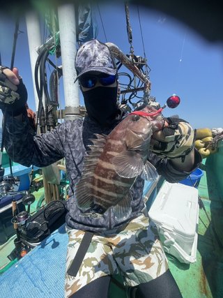 マダイ