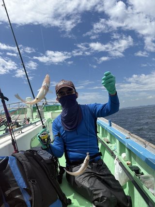 シロギス