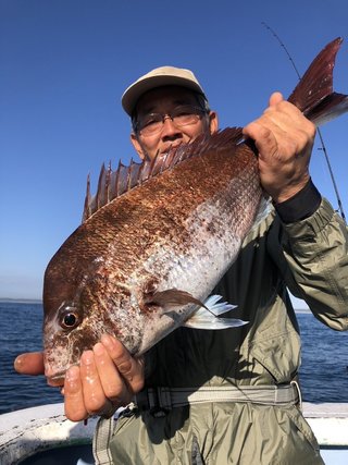 マダイ