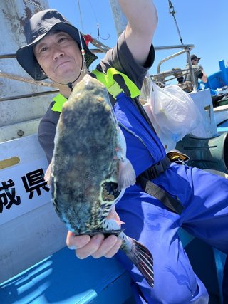 ショウサイフグ