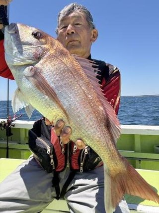 マダイ