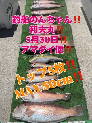 シロアマダイ
