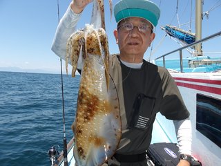 アオリイカ