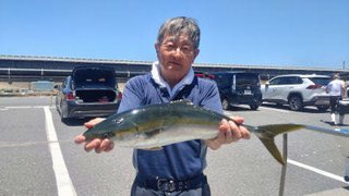 アジ