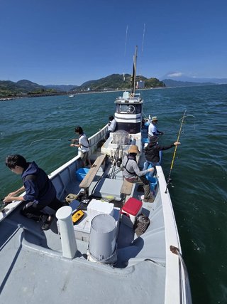 シロギス