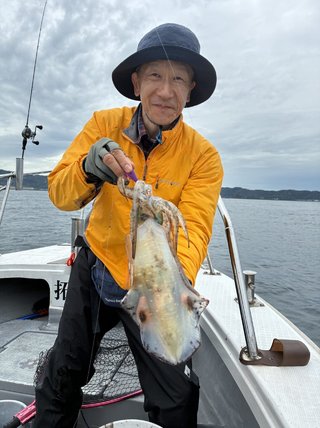 アオリイカ