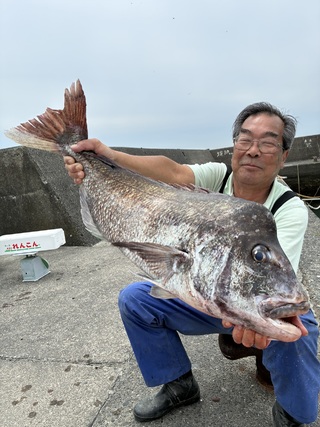 マダイ