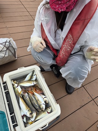 アジ