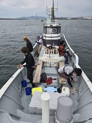 シロギス