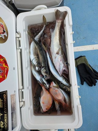 アジ