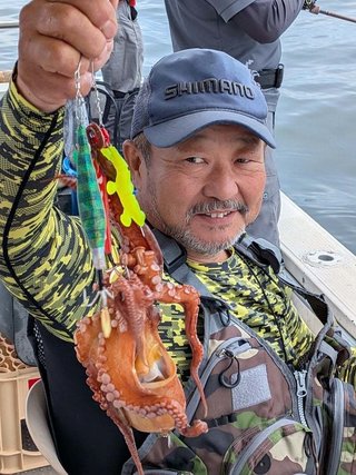 タコ