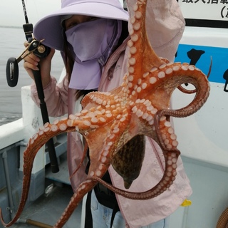 タコ