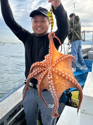 タコ